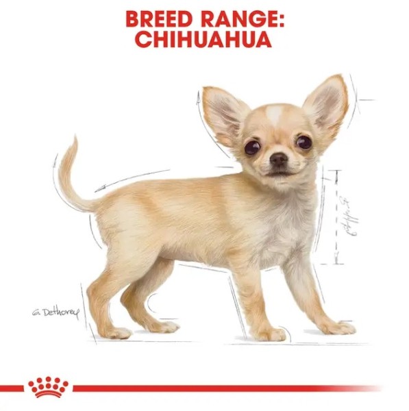 Royal Canin Chihuahua Puppy - Пълноценна суха храна за подрастващи чихуахуа